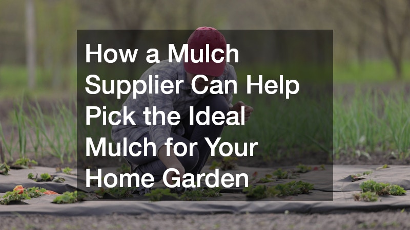 How a Mulch Supplier Can Help Pick the Ideal Mulch for Your Home Garden